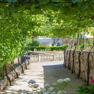 Apartman Ivy Malinska (2)