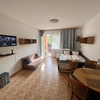 Hortenzia Apartman Balaton (4)