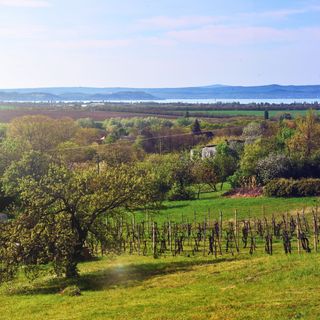 Jódi-Hegy Resort Siófok (5)