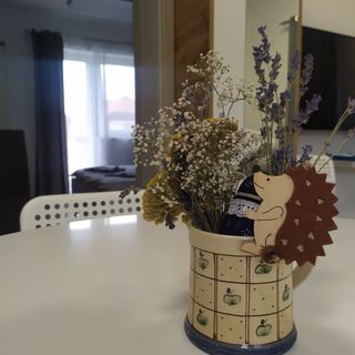 Sweet Life Apartments Hajdúszoboszló (3)