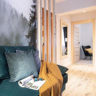 Apartament "Nosal" Droga na bystre Zakopane (5)