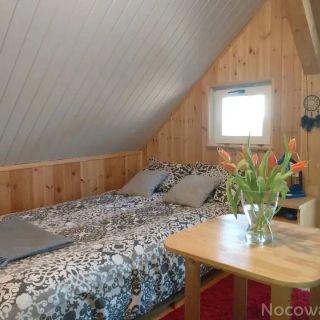 Bobrowe Siedlisko (3)