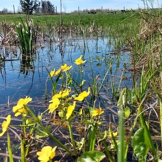 Bobrowe Siedlisko  (5)