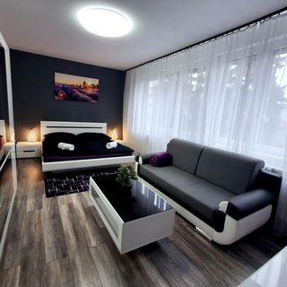 Cosmopolitan Apartman Sárospatak (4)
