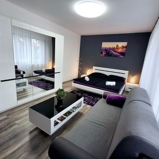 Cosmopolitan Apartman Sárospatak (3)