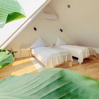 Bambusz Apartmanház Balatonfűzfő (2)