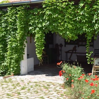 Pónis Vendégház Dávod (2)