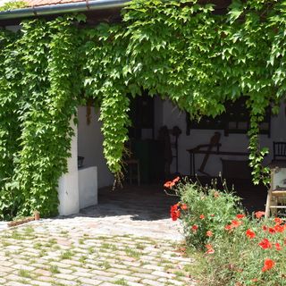 Pónis Vendégház Dávod (2)