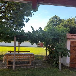 Pónis Vendégház Dávod (3)