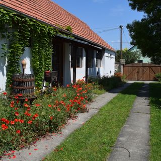 Pónis Vendégház Dávod (5)