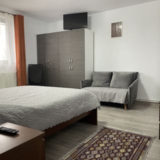 Casa Bălcescu Rotărăști (5)