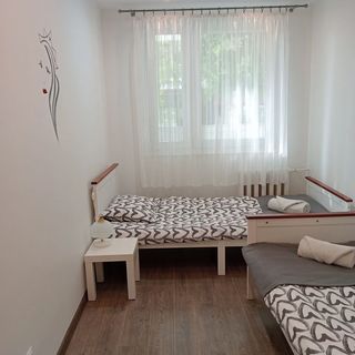 Apartament Queen Malbork (5)