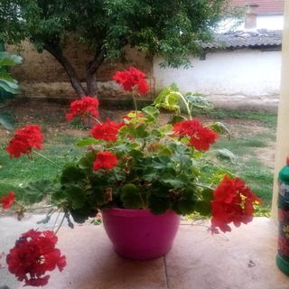 Kiskassa Vendégház Kiskassa (4)