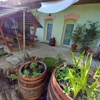 Kiskassa Vendégház Kiskassa (5)