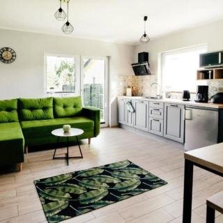 Brzozowy Zakątek Dąbki (3)