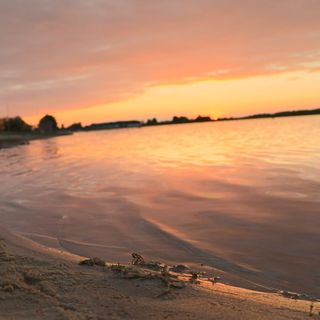 Carthome Dom na kołach Zynie (4)