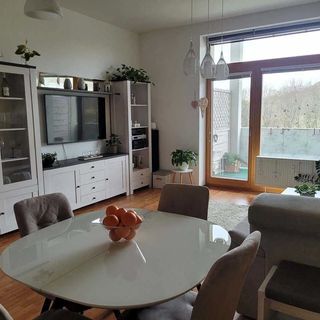 Palavská alej Mikulov (2)