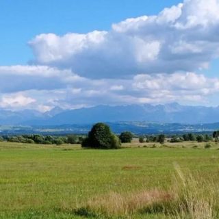 Domek u Fiedora Pieniążkowice (5)