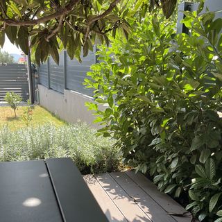 Apartment Judy Sveti Filip i Jakov (5)