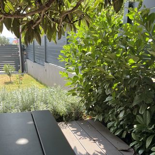 Apartment Judy Sveti Filip i Jakov (5)