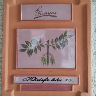 Kőrisfa Apartman Alsópáhok (5)