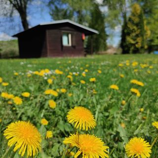 Autokemp Náchod (3)