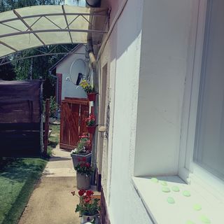 Diófa Apartman Somlószőlős (4)