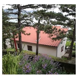 PoVilla House Povile (3)