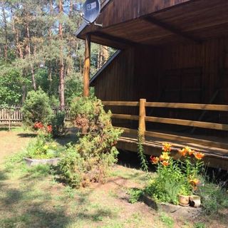 Dom Letniskowy - Patio - ognisko & koza Maciejowice (3)