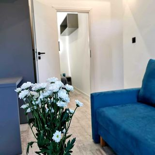 Domek Całoroczny "Bliżej Gwiazd" Krasnobród (2)