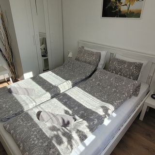 Flow&Garden Apartman Dunakeszi (5)