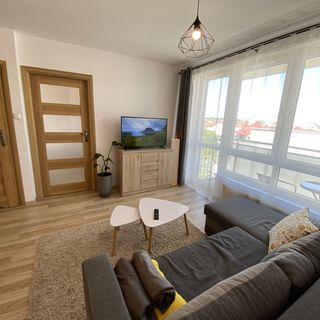Apartament Kopisto (5)