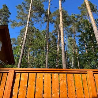 Roubenka Evelínka Hamr na Jezeře (2)