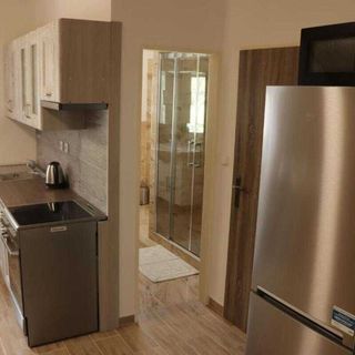 Apartmány u Beka Loučná nad Desnou (5)