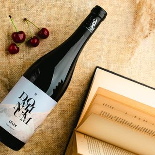 Dominium Pincészet és Panzió Gyöngyös (4)