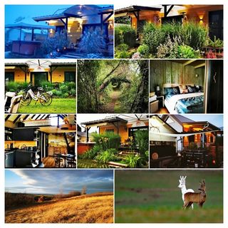 Maya Sun Garden Vendégház Ságvár (3)