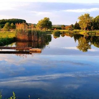 Vitál Vendégház Almamellék-Szentmártonpuszta (5)