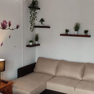 Kis Kuckó Tapolca (5)