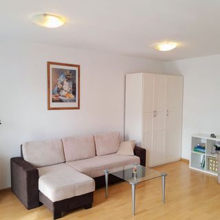 Na Złotych Łanach - apartament z parkingiem Bielsko-Biała (3)