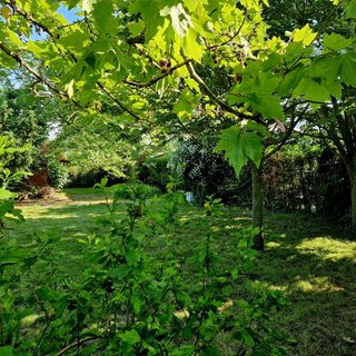 Fonyódligeti Napocskás Ház Fonyód (3)