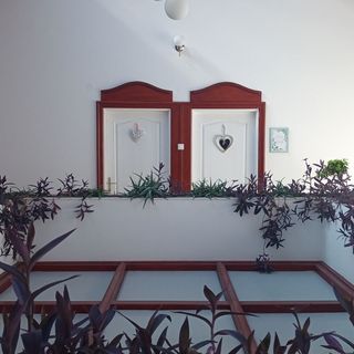 Hévíz Garden Apartman (3)