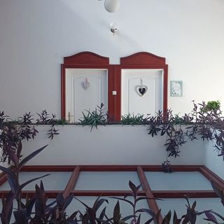 Hévíz Garden Apartman (3)