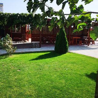 Cazare Nicoleta Vadu (4)