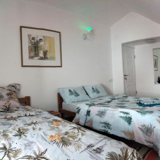 Casa de oaspeți Doi Iepuri Azuga (5)