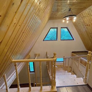 Cabana Taia Petrila (2)