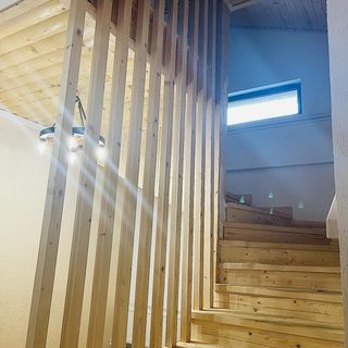 Cabana Taia Petrila (4)