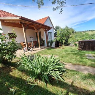 Élet Virága Vendégház Bálványos (3)