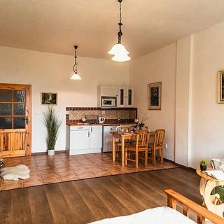 Pension Apartmány Hetlín Černíny (5)