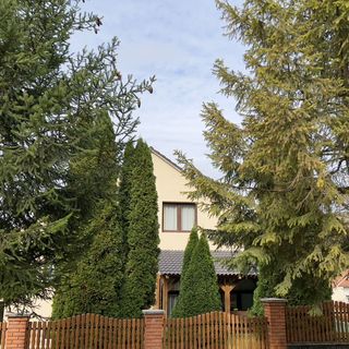 Kajta-Völgye Vendégház Jósvafő (2)