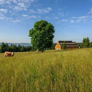 Hotel Premier Janov nad Nisou - Adults only (3)